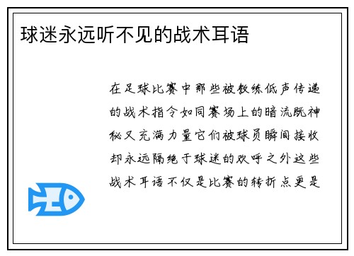 球迷永远听不见的战术耳语