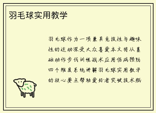 羽毛球实用教学