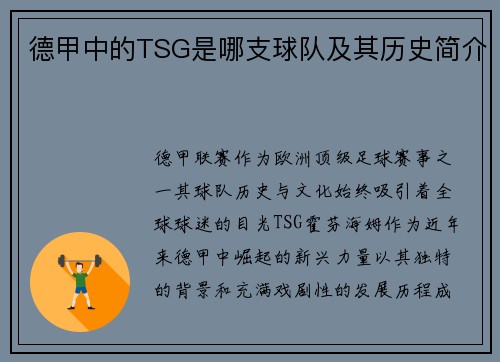 德甲中的TSG是哪支球队及其历史简介